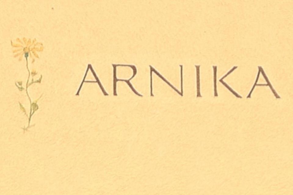 Apartment Haus Arnika Obersaxen Luaran gambar